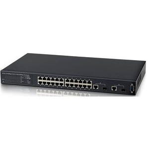 Network Switch 24 Ports